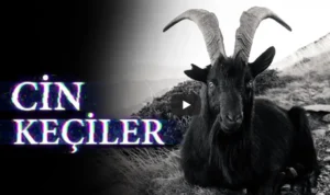 Cin Keçiler - 3 Farklı Korku Hikayesi