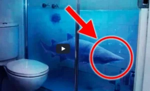 Otel Odalarında Unutulmuş En Garip Şeyler