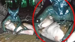 Sizi Şok Edecek 10 Paranormal Video