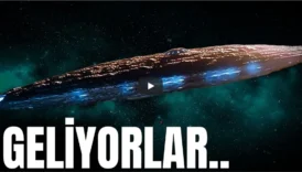 Oumuamua: The Mysterious Visitor from the Stars