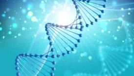 Scientists Could Reverse Aging