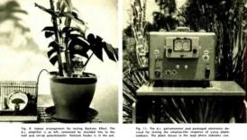 Do Plants Read Our Thoughts? Science