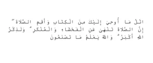 Permission in the Knowledge of Havas